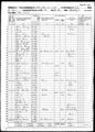 1860 census in vigo terre haute ward 5 pg 13.jpg