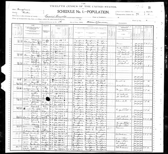 File:1900 census pa butler fairview pg 8.jpg