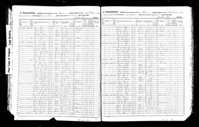 File:1855 Census NY Ward22 ED3 p12.jpg
