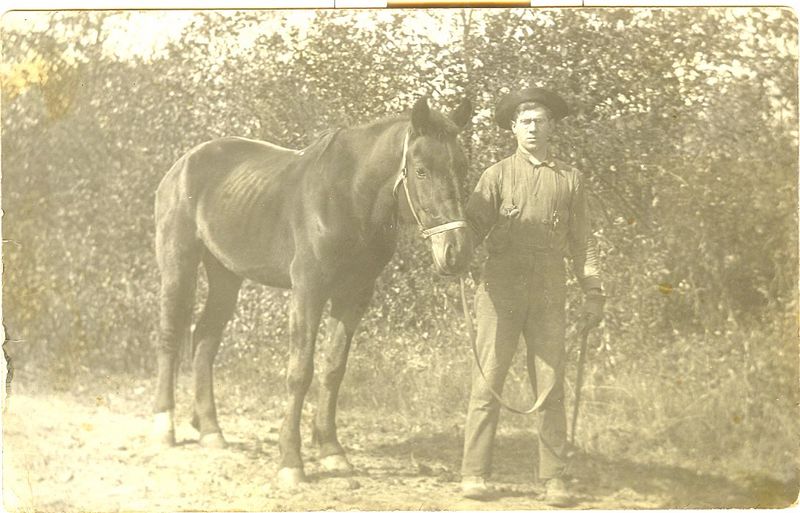 File:J. Elgie Beals-horse.jpg
