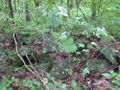 017A Henry Kline farm site, rock pile.jpg