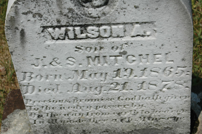 File:SMMC 10 Wilson A son of J & S Mitchell red.jpg