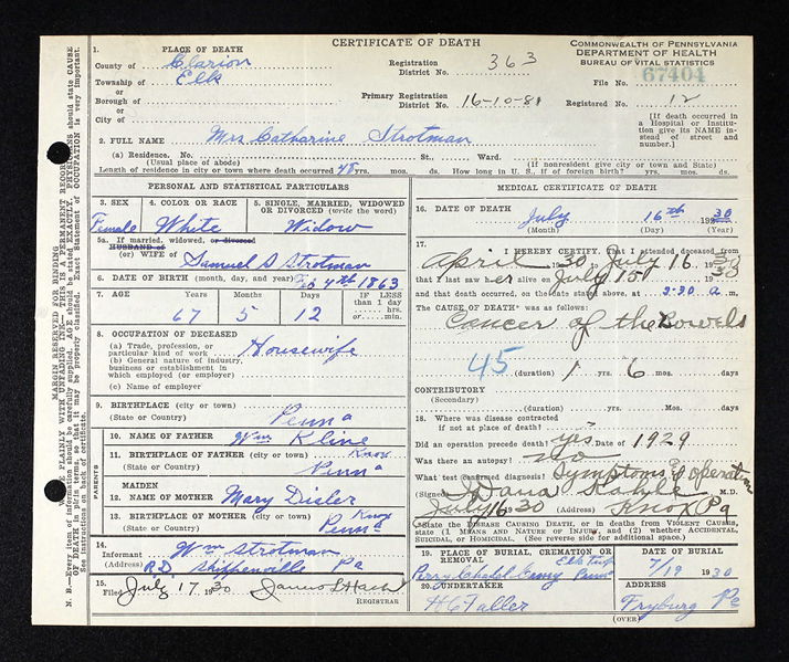 File:Death Certif Catherine Kline Strotman 1930.jpg