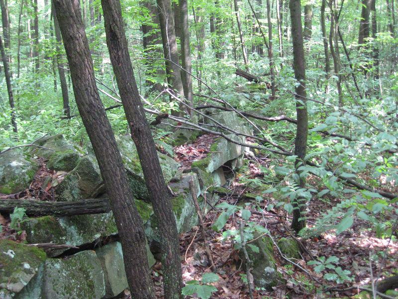 File:015A Henry Kline farm site, stone wall.jpg