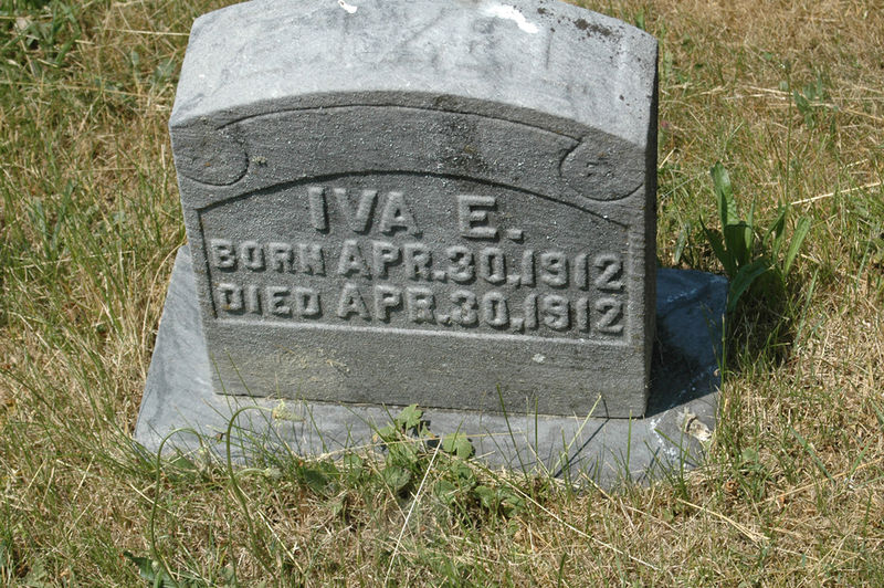 File:SMMC 16 Iva E in Wm J Etzel plot redc.jpg