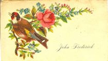 Calling Card John Frederick.jpg