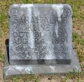 115-kline sarah alice 1890-1891.jpg