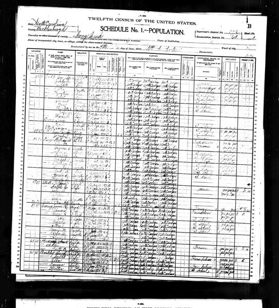File:1900 census nc mecklenburg long creek d63 pg6.jpg