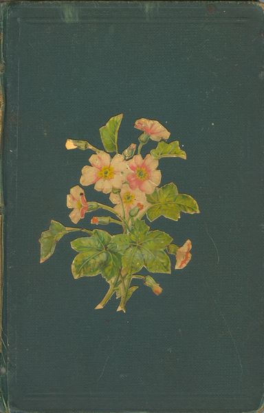 File:Calling Card Book cover.jpg