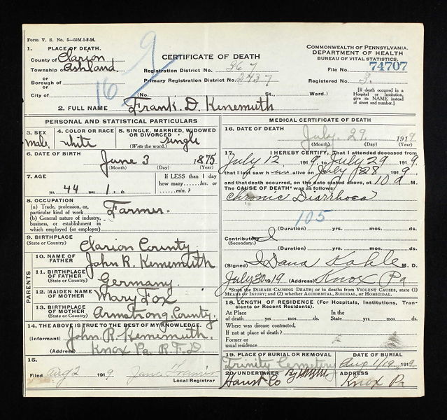 File:Death Certif Franklin D Kenemuth 1919.jpg