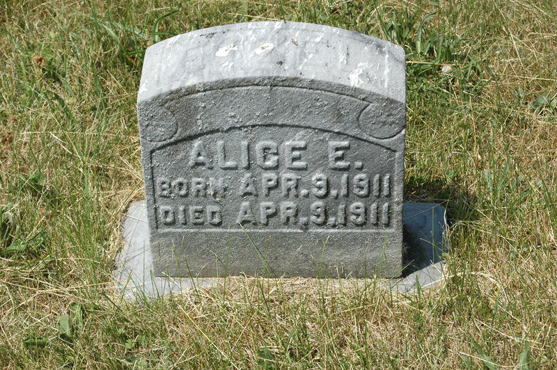 File:SMMC 15 Alice E in Wm J Etzel plot redc.jpg