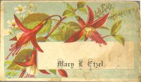 Calling Card Mary L Etzel.jpg