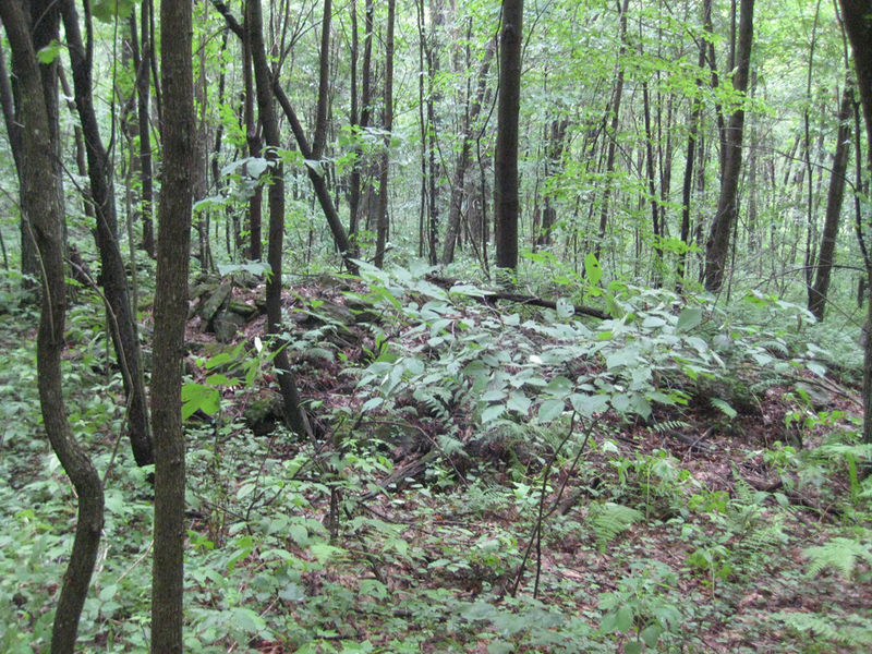 File:021A Henry Kline farm site, rock pile.jpg