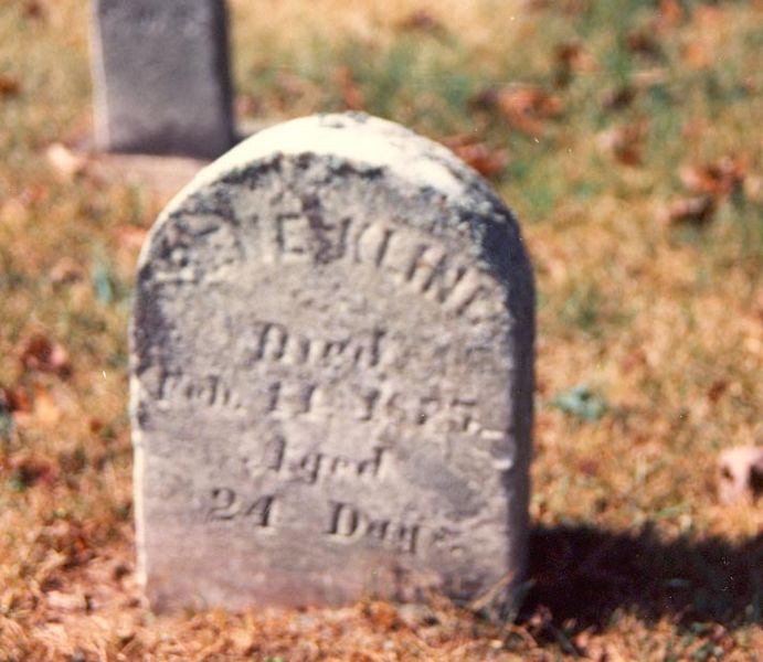 File:Gravestone Rena Cordelia Kline, Phipps Cem.jpg