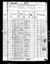 1880 census pa butler brady d30 pg5.jpg