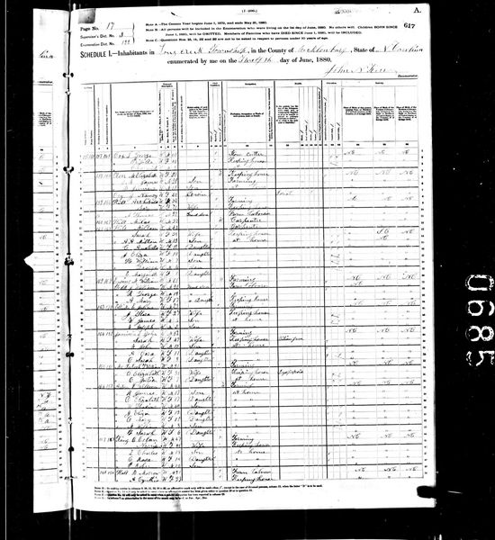 File:1880 census nc mecklenburg long creek dist 122 pg 17.jpg