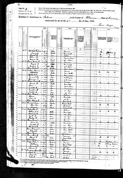 File:1880 census pa clarion salem dist 81 pg 6.jpg