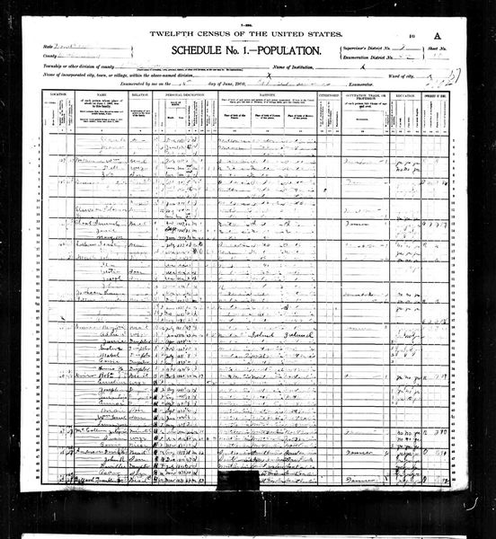 File:1900 census nc mecklenburg steel creek dist 52 pg 19.jpg