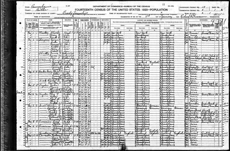 File:1920 census pa butler brady dist 3 pg 1.jpg